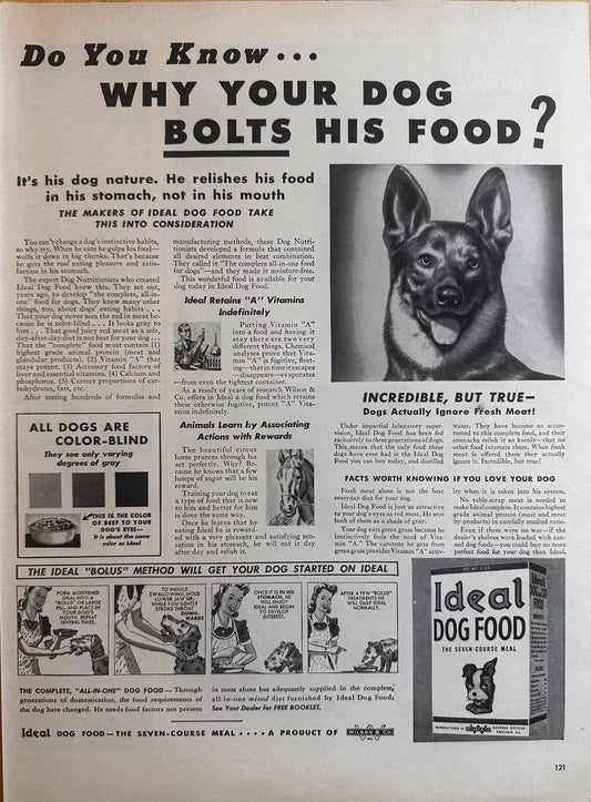 1943 Ideal Dog Food “Why Your Dog Bolts For His Food” Original Print Ad